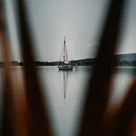 Fuzliget2- President Balatonfůzfő