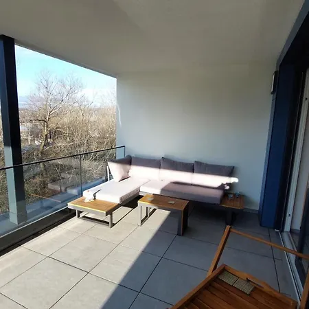 Fuzliget2- President * Balatonfůzfő