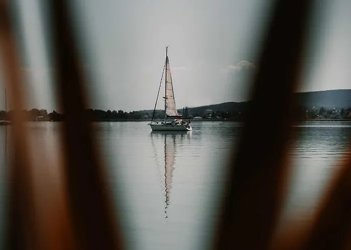 Fuzliget2- President Balatonfuzfo