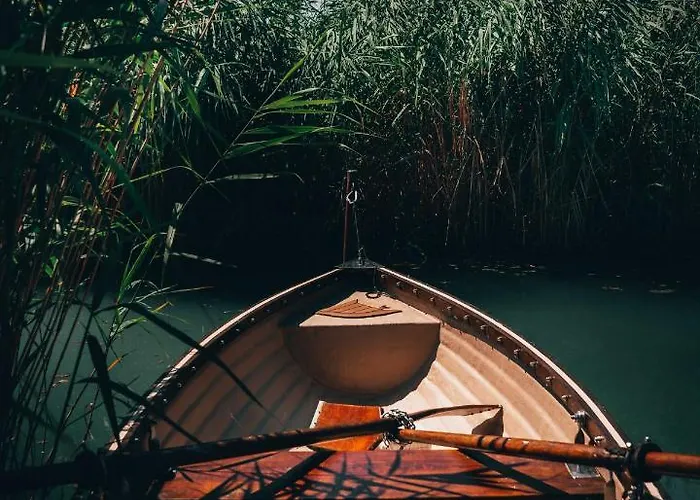 Apartment Fuzliget2- President *