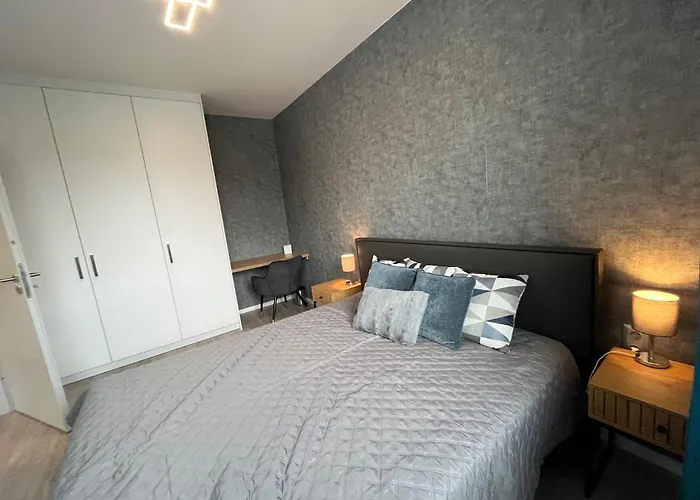 Fuzliget2- President